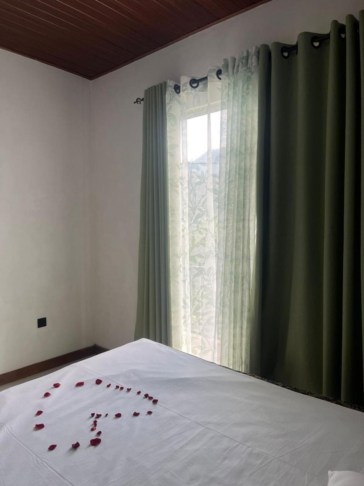 Bloom House Homestay Бандаравела Экстерьер фото